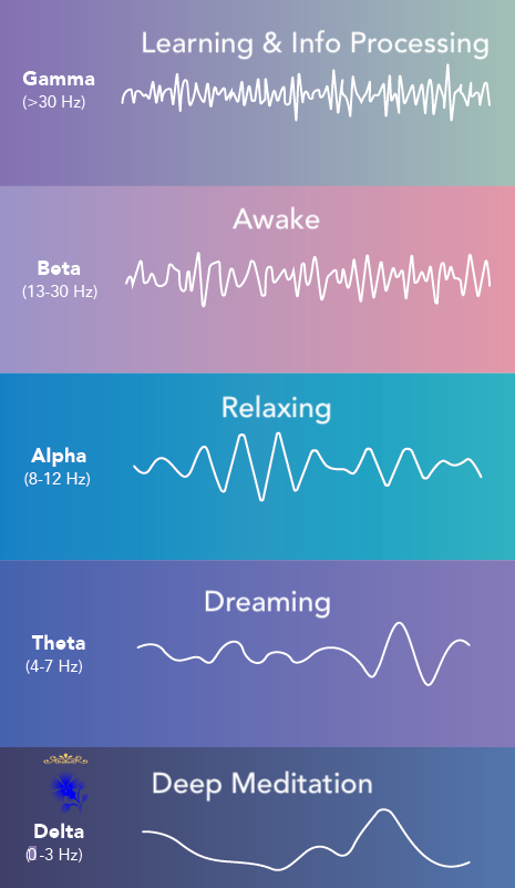 Amarantos 15 Stage PLRT Is Conducted At The Deepest Brainwave.png