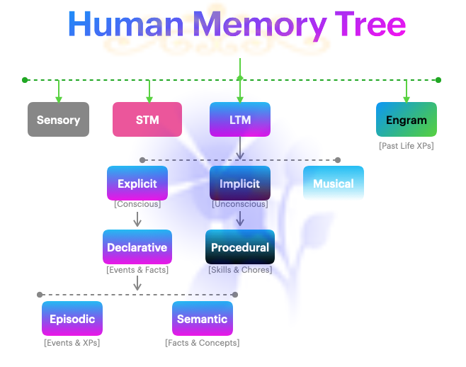 Memory Types In PLRT | Best Past Life Regression Therapy For 100% Healing